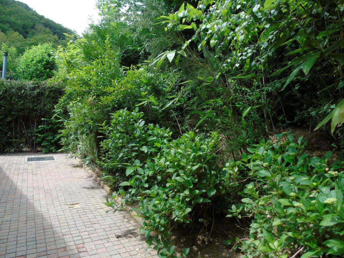 Maison L'Hirondelle Rustique A Tournavaux エクステリア 写真