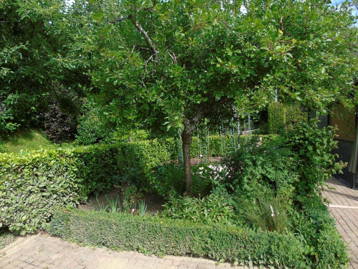 Maison L'Hirondelle Rustique A Tournavaux エクステリア 写真