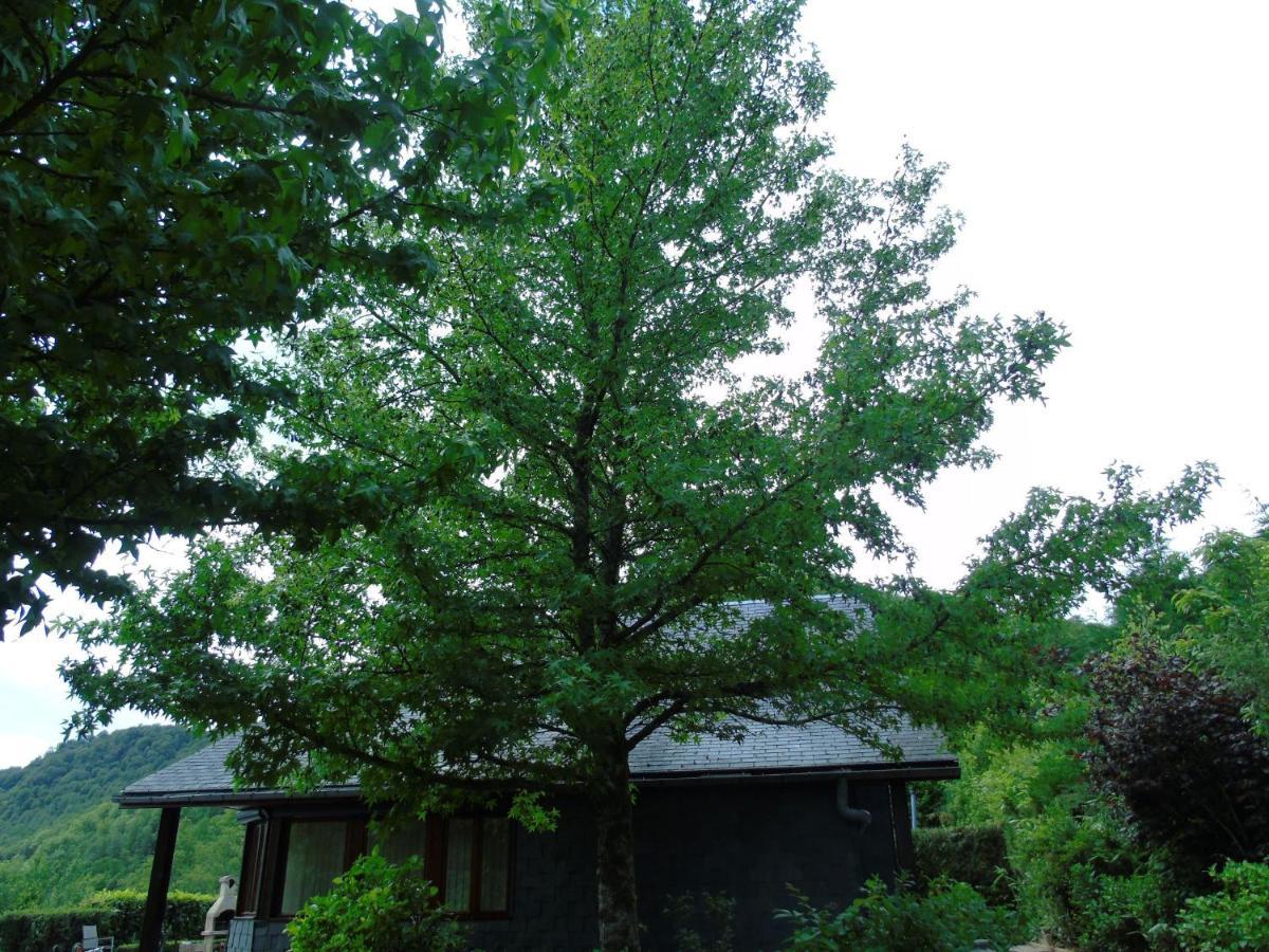 Maison L'Hirondelle Rustique A Tournavaux エクステリア 写真