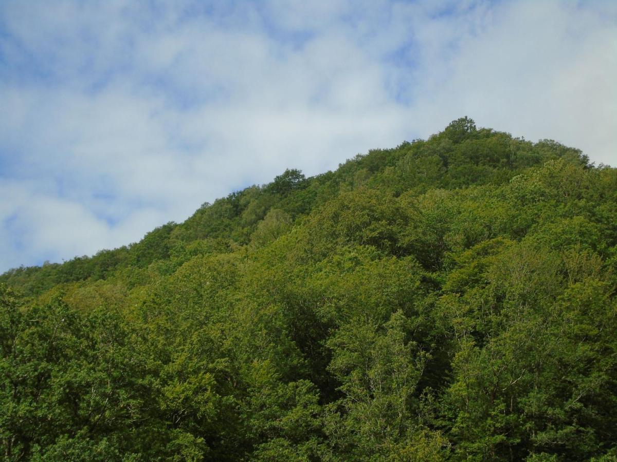 Maison L'Hirondelle Rustique A Tournavaux エクステリア 写真